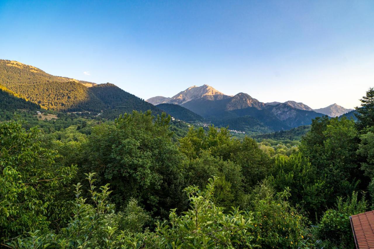 Iviscos Appartement *